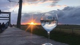 Ferienwohnung in Fehmarn OT Burg - Ferienwohnung "BurgKaj&uuml;te" - Bild 11