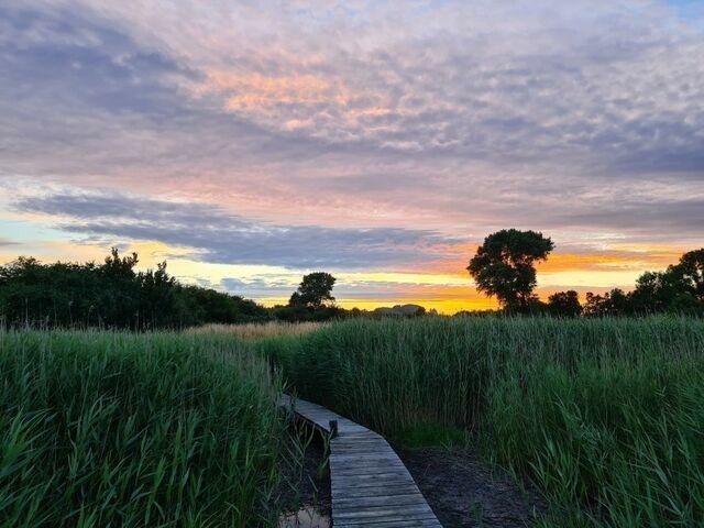 Ferienwohnung in Breege - Sonnenhus 2 - Breege/Rügen - Bild 15