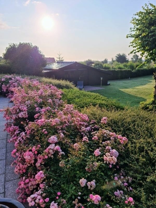 Ferienwohnung in Breege - Sonnenhus 2 - Breege/Rügen - Bild 21