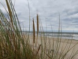 Ferienhaus in Lütow - Ostsee Ferienhaus Usedom (hundefreundlich) Familie Stopp Haus 22 - Bild 16