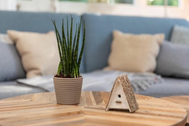 Ferienwohnung in Zingst - Arielle Nr. 1 - Bild 19