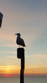 Ferienwohnung in Stubbendorf - Sonnen Stuuv - Bild 17