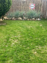 Ferienhaus in Heiligenhafen - M&ouml;we 44 - Bild 24