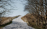 Ferienhaus in Ahrenshoop - Seewind - Bild 9