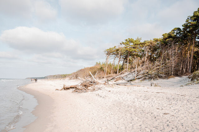 Ferienwohnung in Ahrenshoop - Seepferd - Bild 9