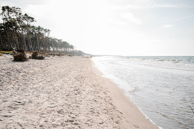 Ferienwohnung in Ahrenshoop - Strandjuwel 1 - Bild 9