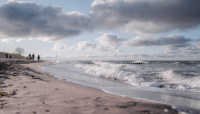 Ferienwohnung in Ahrenshoop - Seeblick 4 - Bild 7
