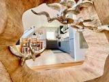 Ferienwohnung in Zingst - Boddenkieker 03 - Bild 7