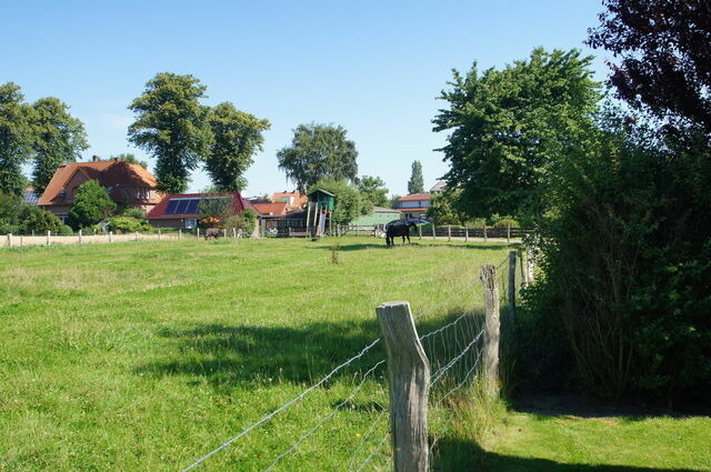 Bungalow in Dahme - Ferienbungalow 3 - Bild 5