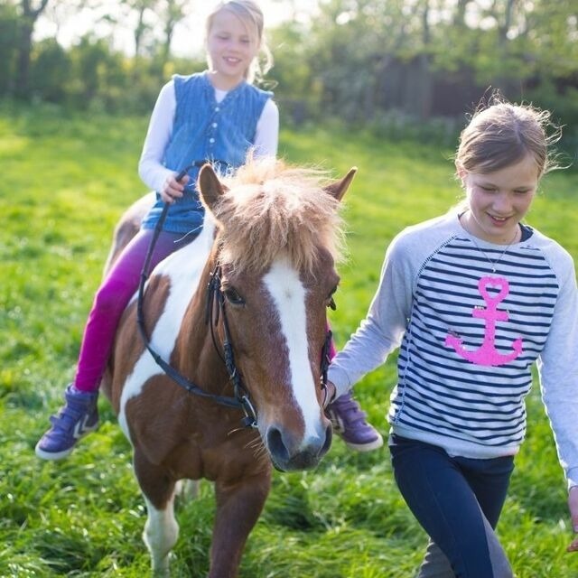 Ferienwohnung in Fehmarn - Ferienhof Marquardt Bungalow 3 - Bild 13
