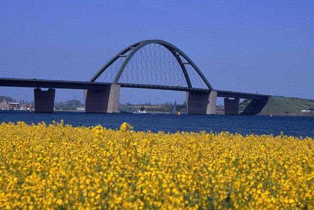 Ferienwohnung in Gro&szlig;enbrode - K&uuml;stenzauber 17 - Gro&szlig;enbrode - Bild 19