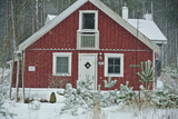Ferienhaus in Baabe - Meeresbrise - Baabe - Bild 16