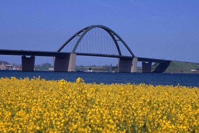 Ferienwohnung in Gro&szlig;enbrode - Meerblick 10 - Gro&szlig;enbrode - Bild 19