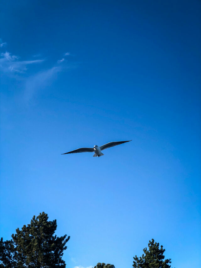 Ferienhaus in Glücksburg - Ferienhaus "Sören" - Bild 25