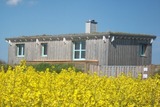 Ferienhaus in Dahme - Strandhus Mira - Bild 22