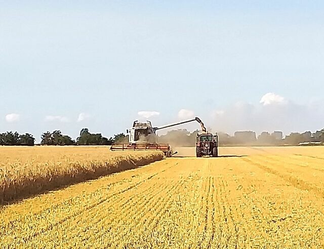 Ferienwohnung in Fehmarn OT Neujellingsdorf - Bauernhof Höper-Rauert - Reihenhaus 6 - Bild 23