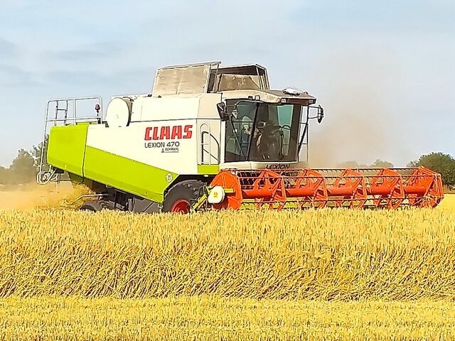 Ferienwohnung in Fehmarn OT Neujellingsdorf - Bauernhof Höper-Rauert - Reihenhaus 6 - Bild 24