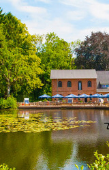 Ferienwohnung in Pönitz am See - Landhaus am See - mit Terrasse - Bild 24