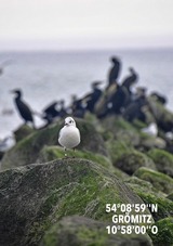 Ferienwohnung in Gr&ouml;mitz - Strandnahes Design-Wohlf&uuml;hlappartement - Urlaub von Anfang an - Bild 21