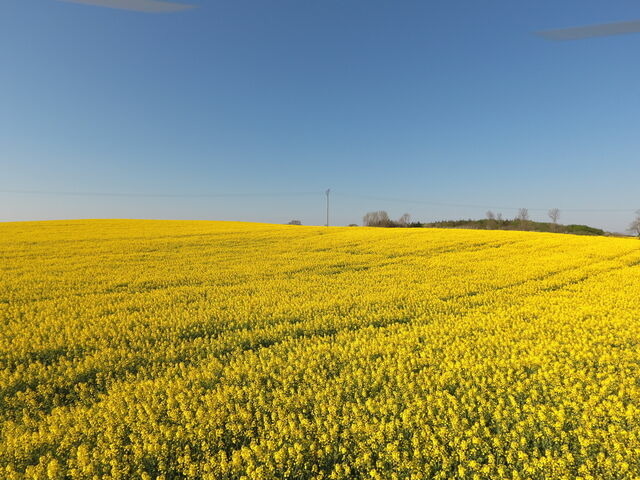 Ferienwohnung in Rabenkirchen-Faul&uuml;ck - Ferienwohnung BEA 3 - Bild 9