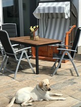 Ferienhaus in Fehmarn - The Fehmarn Lodges - RELAX - - Bild 5