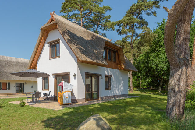 Ferienhaus in Zirchow - Bellis Perennis - Bild 3