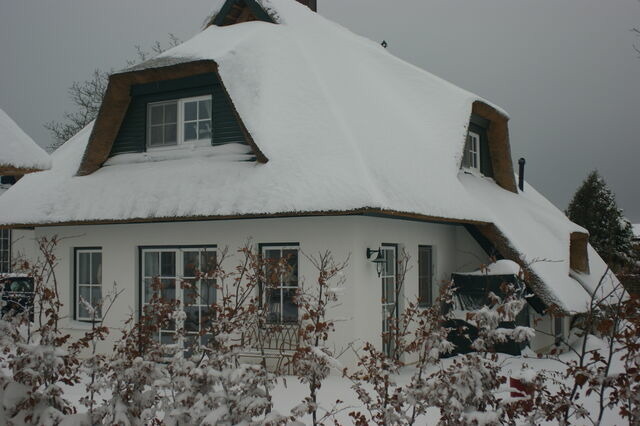 Ferienhaus in Heringsdorf - Reethus Sternenkikker inkl. Strandkorb am Ostseestrand - Bild 22