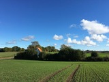 Ferienhaus in Esgrus - Häuschen auf dem Land - Bild 10