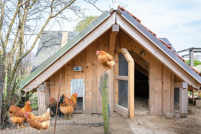 Ferienwohnung in Waabs - Ostseegarten Langholz - Ferienwohnung Spatzennest (bis 4 Pers) - Bild 19