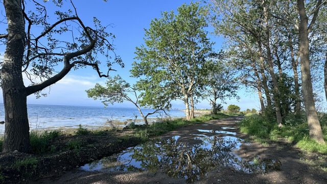 Ferienwohnung in Gro&szlig;enbrode - M&ouml;wennest 13 - Gro&szlig;enbrode - Bild 24