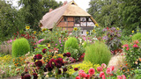 Ferienwohnung in Starkow - Ferienwohnung Rosengarten am Pfarrgarten Starkow - Bild 18