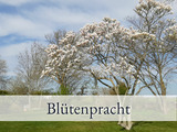 Ferienwohnung in Fehmarn OT Sulsdorf - Hirschfeld Hus Whg 1 - Bild 14