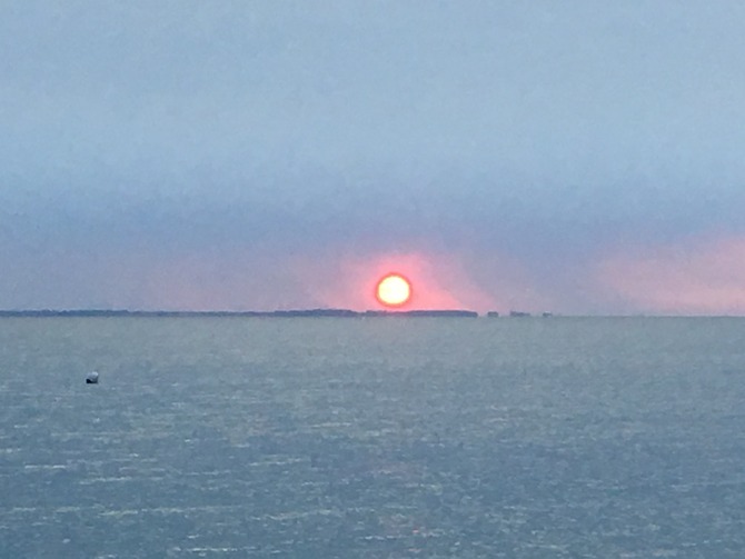 Ferienhaus in Ostermade - Ferienhaus Ostermade - Bild 19