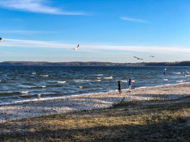 Ferienwohnung in Glücksburg - Ferienwohnung Glücks-Burg "Sonne" - Bild 24