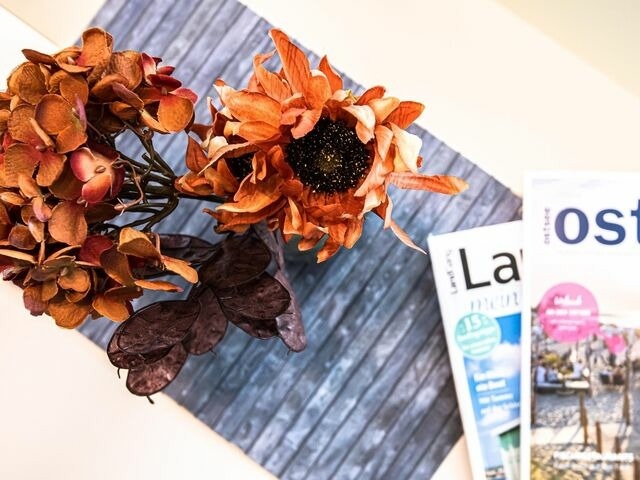 Ferienwohnung in Kellenhusen - Kirschgarten Wohnung 10 - Bild 8