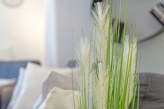 Ferienwohnung in Gr&ouml;mitz - Haus Atlantic FeWo Gabriela - Bild 8