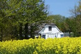 Ferienhaus in Fehmarn OT Neujellingsdorf - Sonnenschein - Bild 23