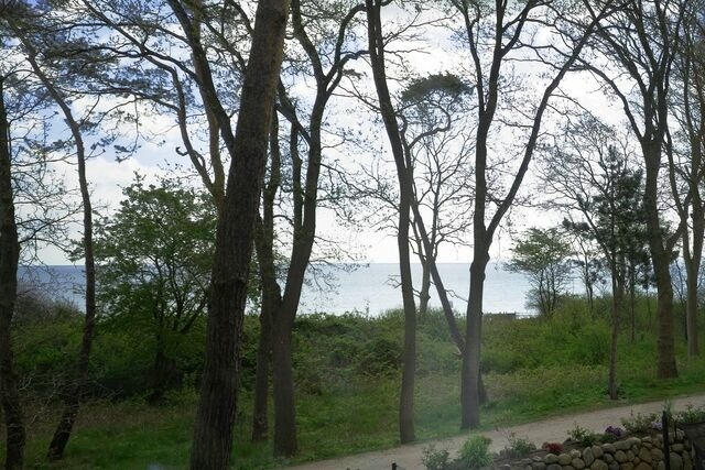Ferienwohnung in Timmendorfer Strand - Haus Seepferdchen am Meer Appartement 6 - Bild 7
