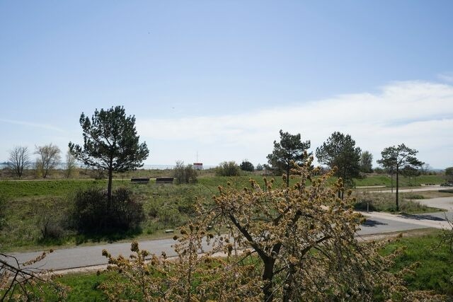 Ferienhaus in Lensterstrand - Lensterstrand Oase Nr. 8 - Bild 16