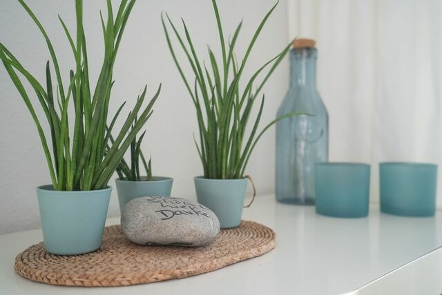 Ferienwohnung in Gr&ouml;mitz - Strandschloss Wohnung 40 - Bild 14