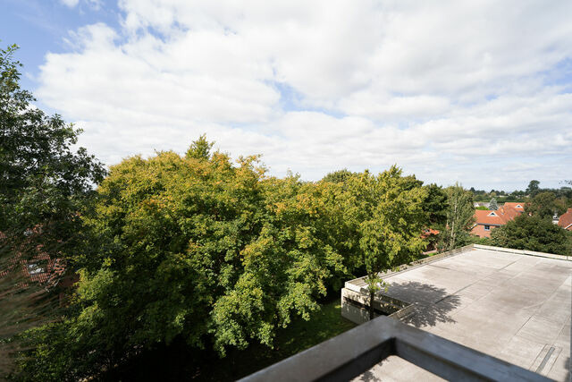 Ferienwohnung in Dahme - Berolina Wohnung 302 - Bild 12