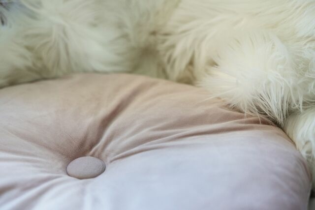 Ferienwohnung in Scharbeutz - Badeweg 4 Bullerb&uuml; 10 - Bild 9