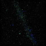 Ferienwohnung in Gr&ouml;mitz - Seehus II - Bild 24