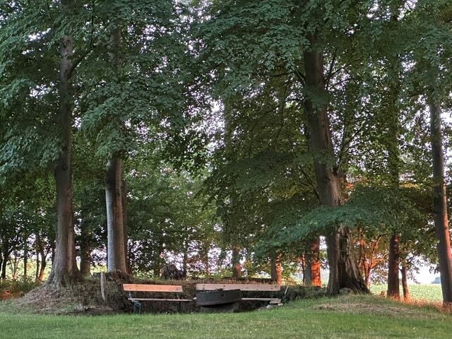 Ferienwohnung in Rieseby - Gut Büchenau - Ferienwohnung Weitsicht - Bild 18