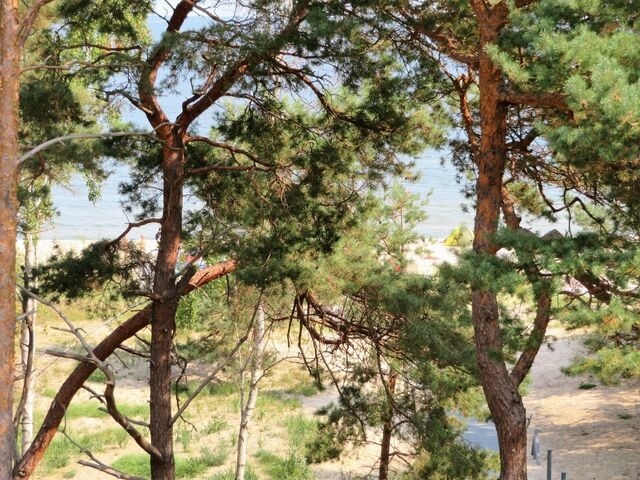 Ferienwohnung in Ahlbeck - (Brise) Strandresidenz Else Marie App. 3.4 - Bild 18