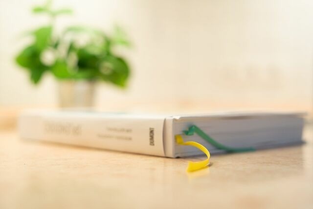 Ferienwohnung in Neustadt-Pelzerhaken - Strandgl&uuml;ck 41- Haus Wiesbaden - Bild 21