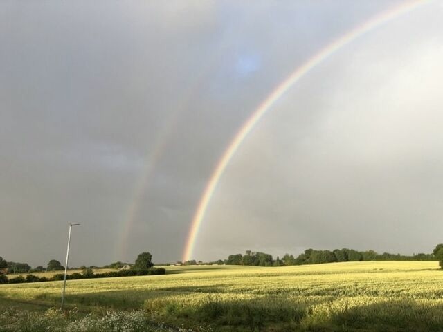 Ferienwohnung in Kappeln OT Mehlby - Ferienwohnung Stock - Bild 19