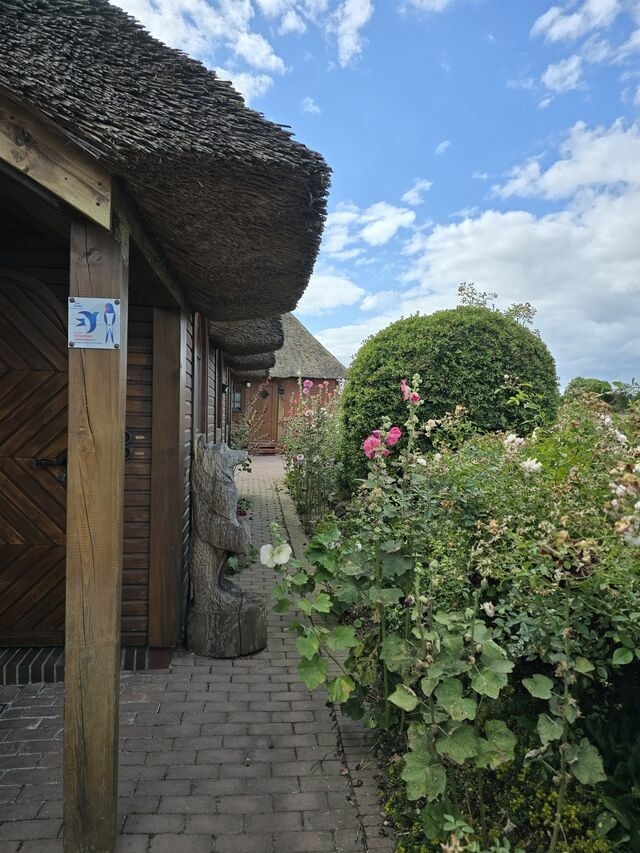 Ferienwohnung in &Ouml;lendorf - Urlaub unterm Reet - Bild 16