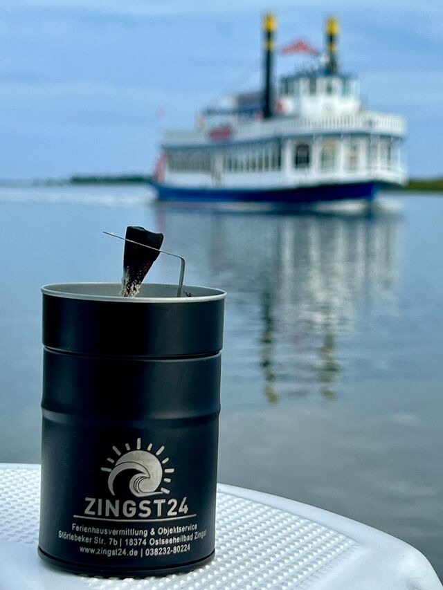 Ferienhaus in Ostseeheilbad Zingst - Windfl&uuml;chter - Bild 25