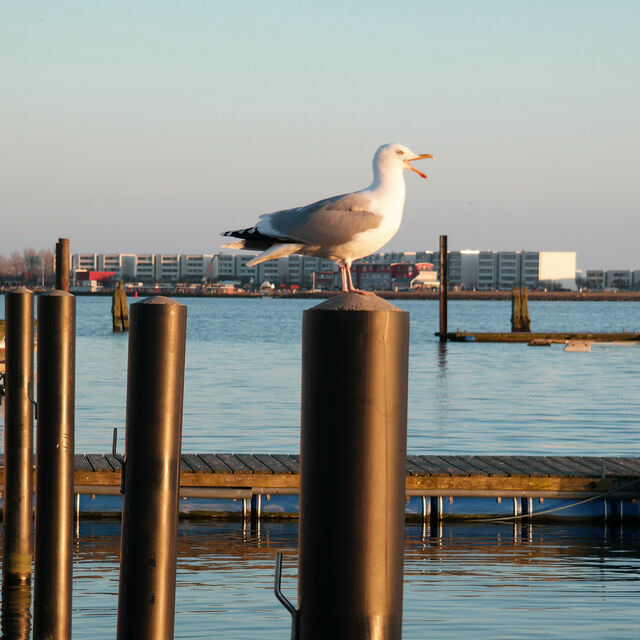 Ferienwohnung in Fehmarn OT Burgstaaken - Hausboot Kaddi`s SunDREAM - Huus & Meer - Burgstaaken - Bild 24
